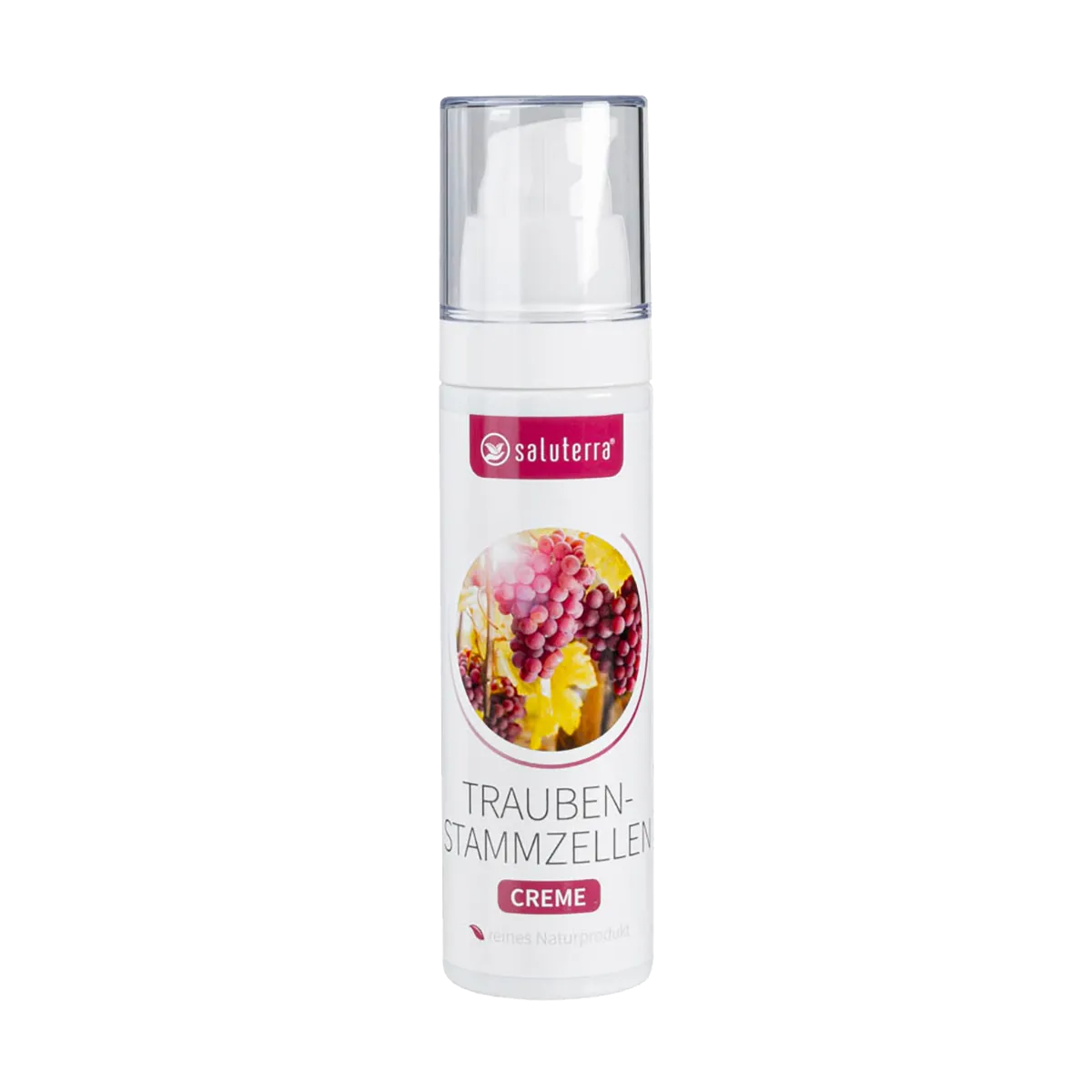 Crème revitalisante saluterra® aux plantes. Cellules souches